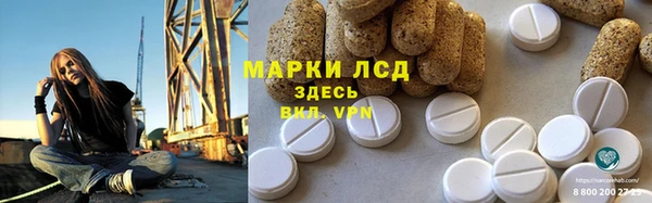 дмт Дмитров