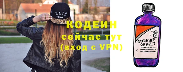 дмт Дмитров