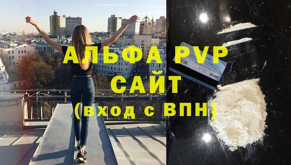 дмт Дмитров