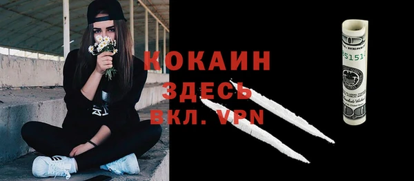 дмт Дмитров