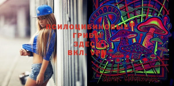 дмт Дмитров
