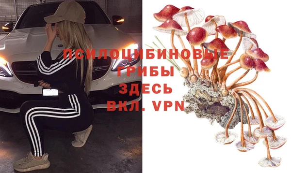 круглые Дмитровск