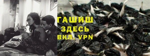 дмт Дмитров