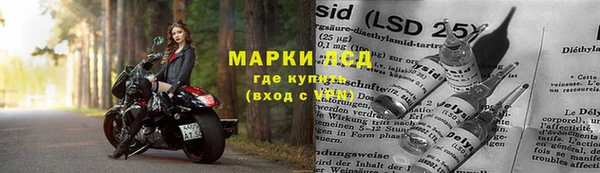 СК Дмитриев